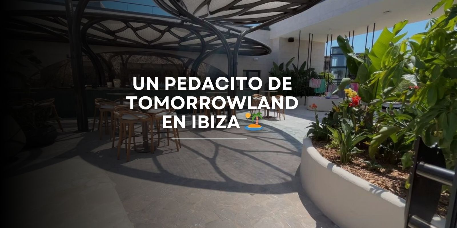 Descubre la nueva tienda oficial de Tomorrowland en Ibiza, ubicada en Playa d’en Bossa con terraza y experiencias únicas